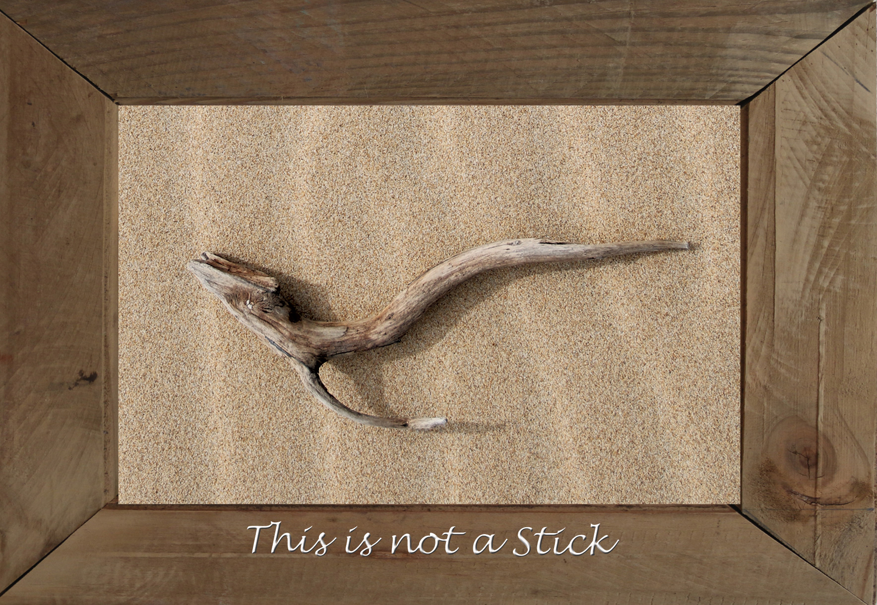 Stick on Sand with writing this is not a stick