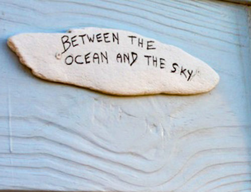 Between the Ocean and the Sky
