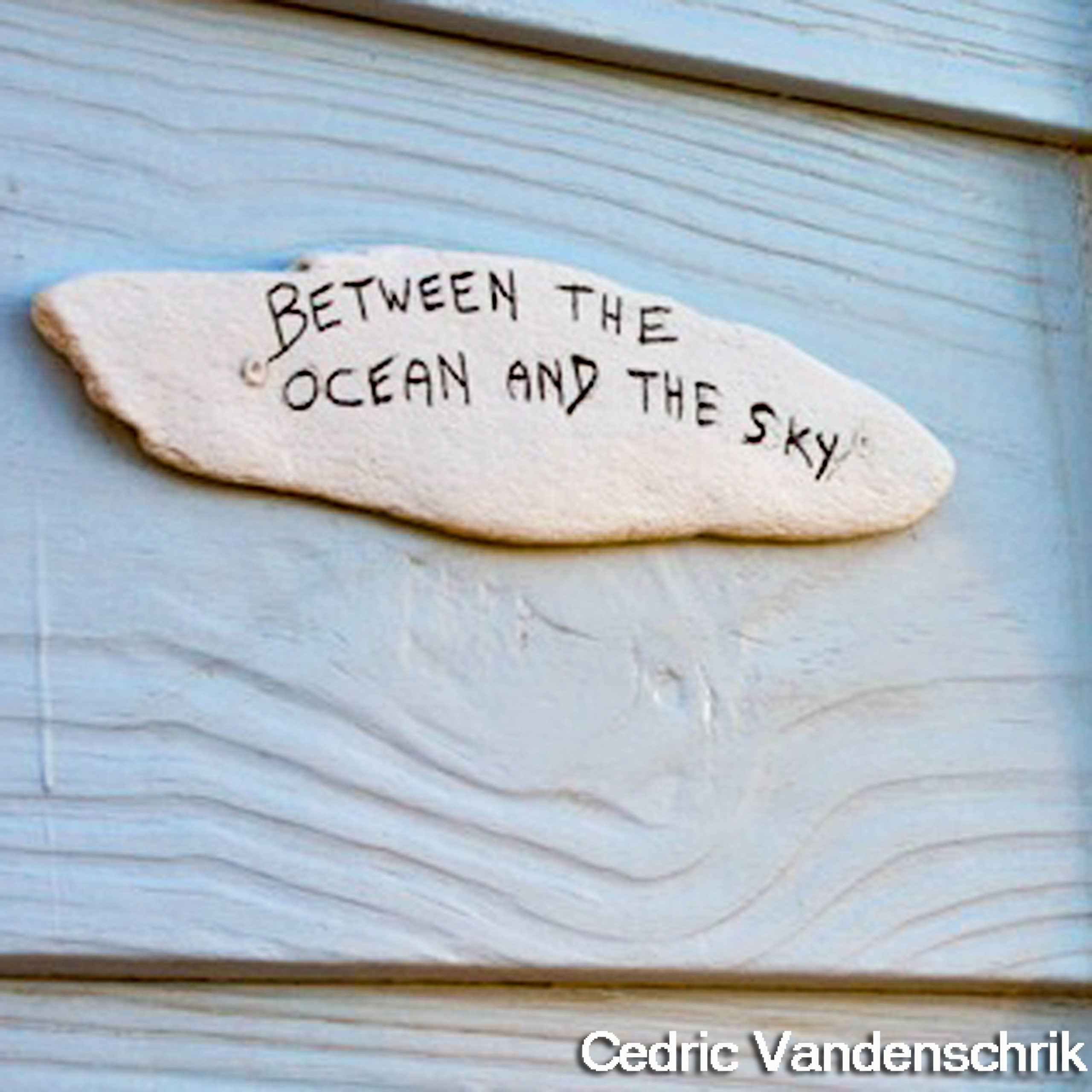 Piece of white bone on wall with writing: Between the Ocean and the Sky